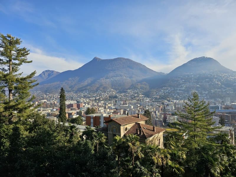 Ampio monolocale in vicinanza della stazione (5)