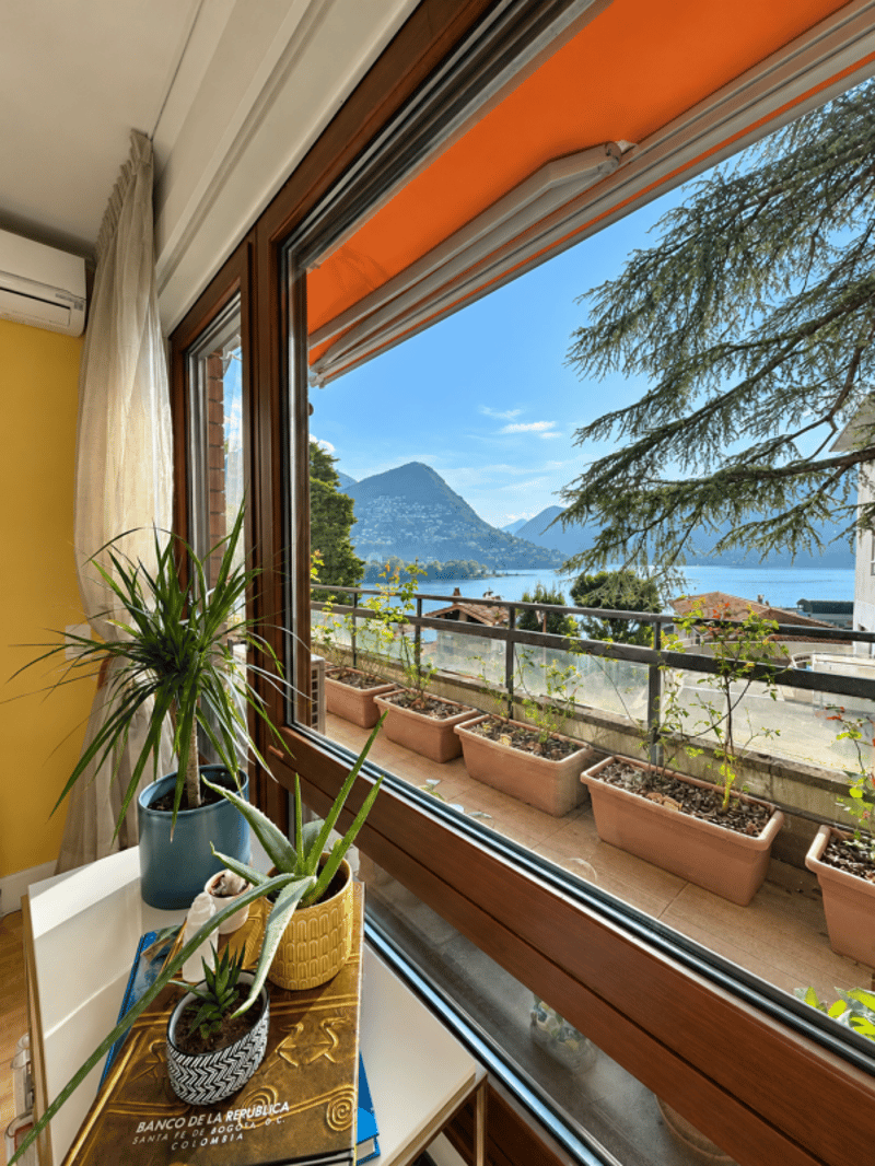 Splendido 3,5 in centro città con vista lago (11)