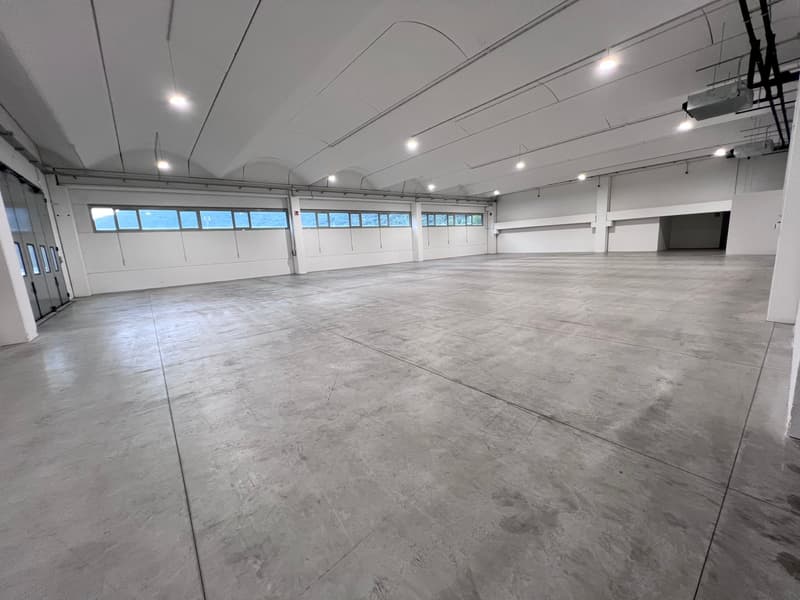 Multifunktionale Flächen von 600 bis 1'600 m² (5)