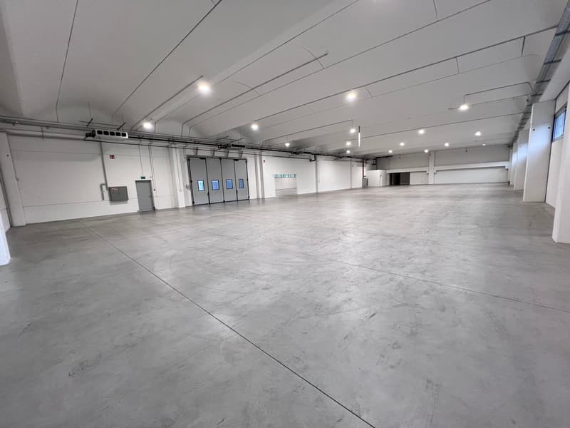 Multifunktionale Flächen von 600 bis 1'600 m² (4)