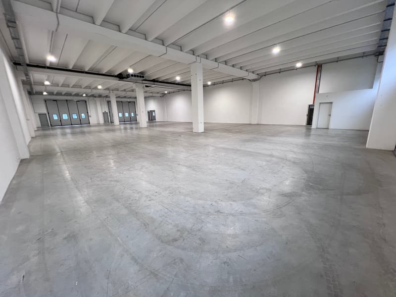 Multifunktionale Flächen von 600 bis 1'600 m² (3)