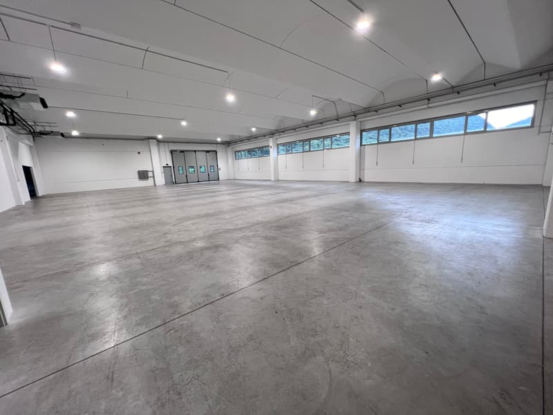 Multifunktionale Flächen von 600 bis 1'600 m² (6)