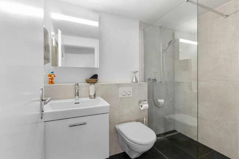 Modern commercial property in a well-frequented location (9)