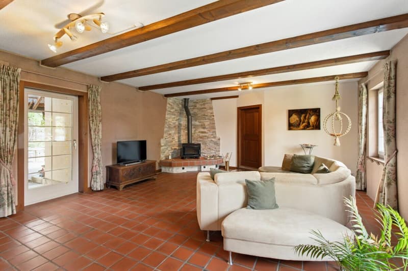 An estate with history and possibilities (2)