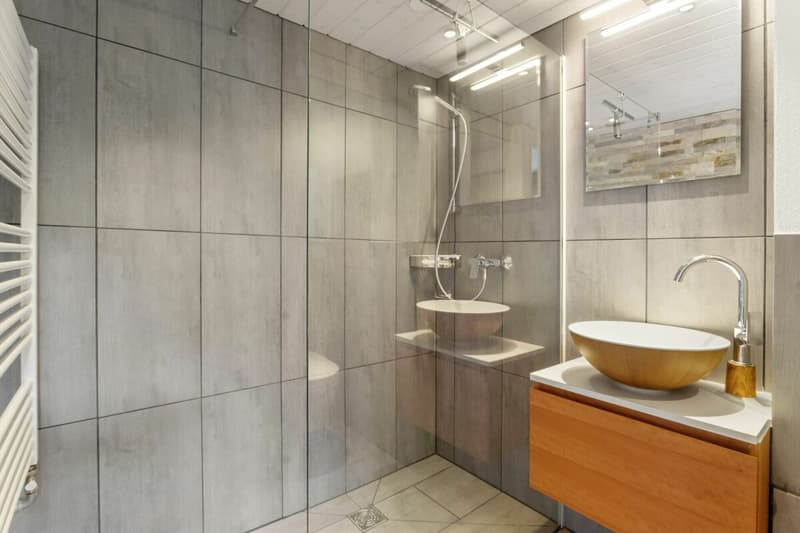 An estate with history and possibilities (12)