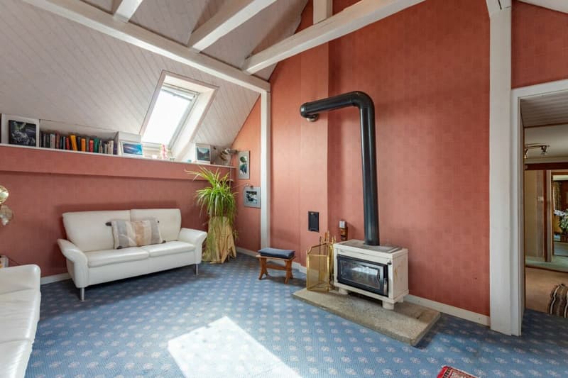 An estate with history and possibilities (11)