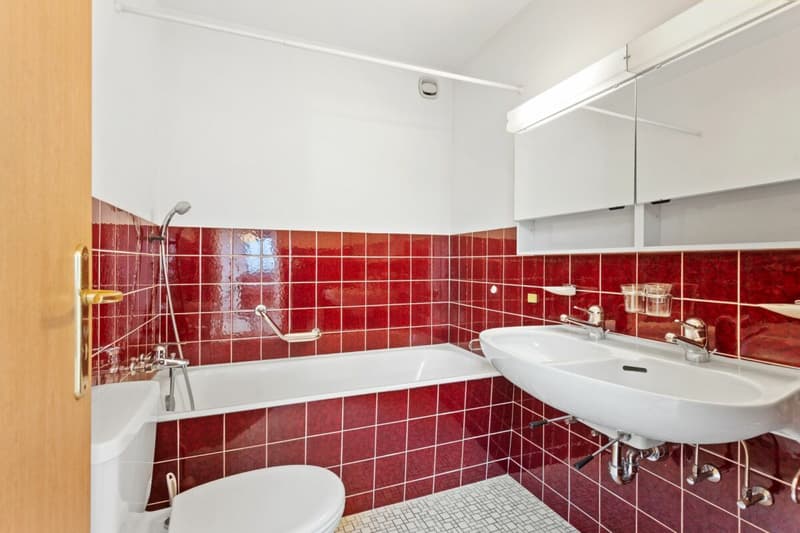 Zona residenziale preferita a Dachsen - con vista panoramica! (9)