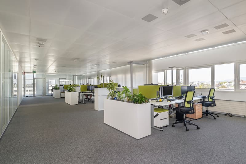 Spazi per uffici, 200m2 - vicino alla stazione SBB (3)