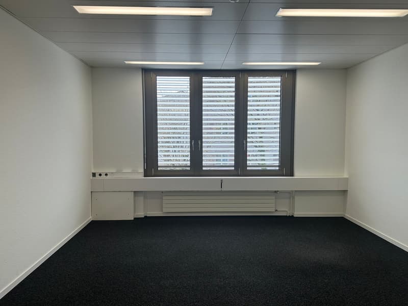 Ihr neuer Arbeitsplatz ab 135.-: Möbliert und sofort nutzbar (7)