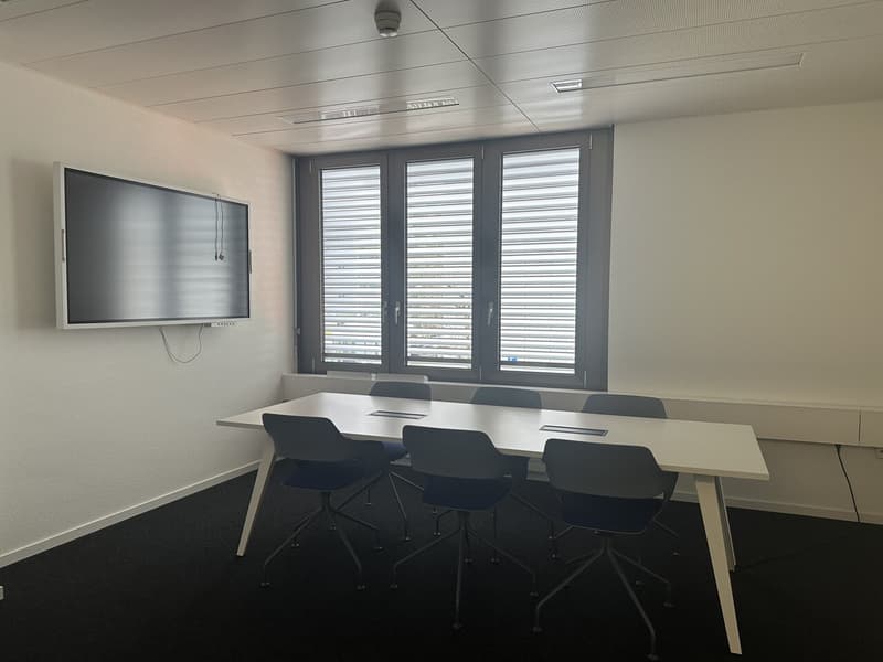 Ihr neuer Arbeitsplatz ab 135.-: Möbliert und sofort nutzbar (9)
