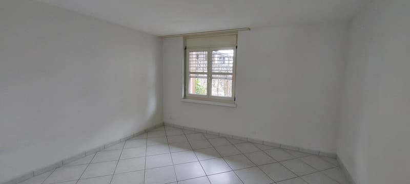 Bella appartamento a 2 locali al piano terra con giardino privato (7)