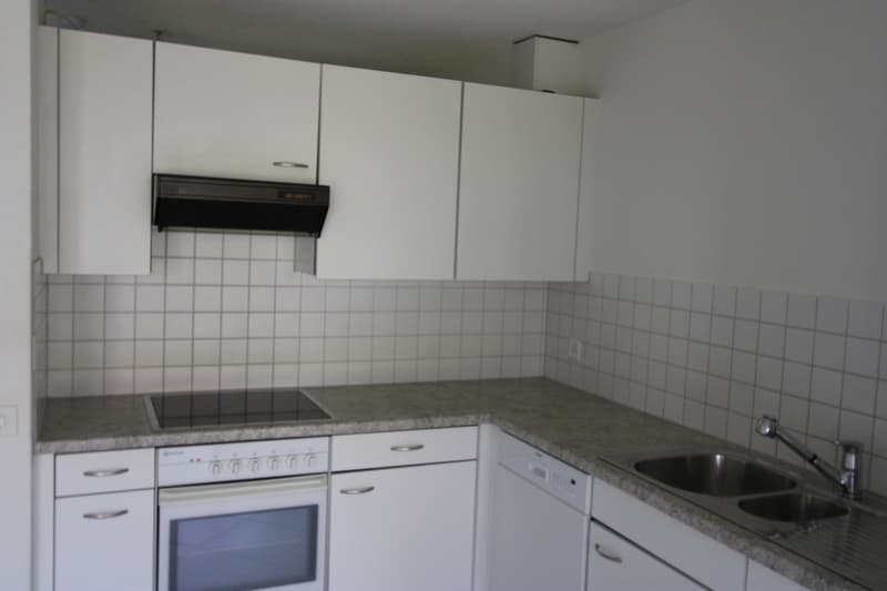 Bella appartamento a 2 locali al piano terra con giardino privato (6)