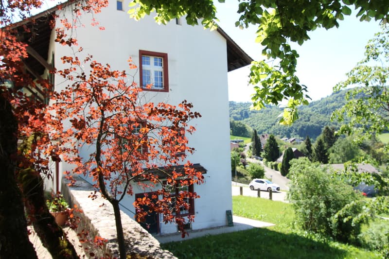 Modern restauriertes Pfarrhaus - herrliche Aussicht (3)