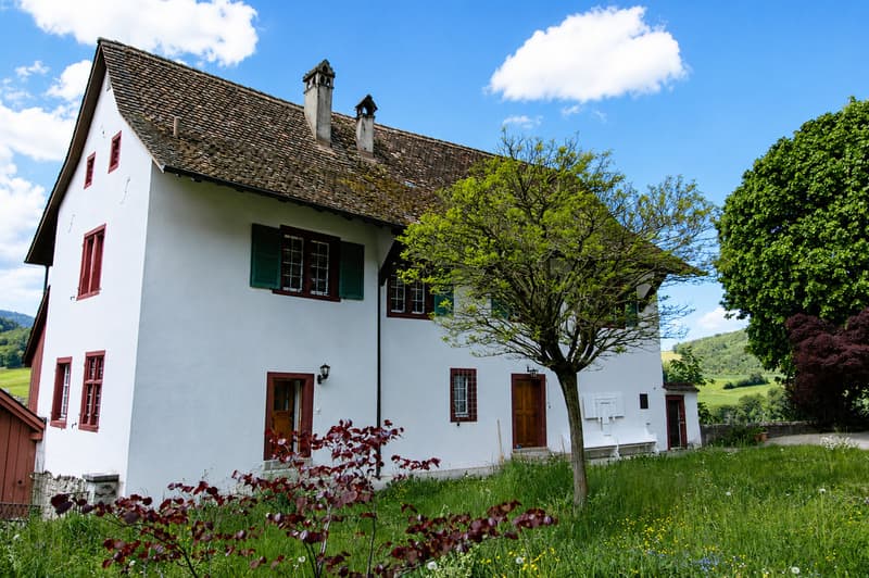 Modern restauriertes Pfarrhaus - herrliche Aussicht (10)