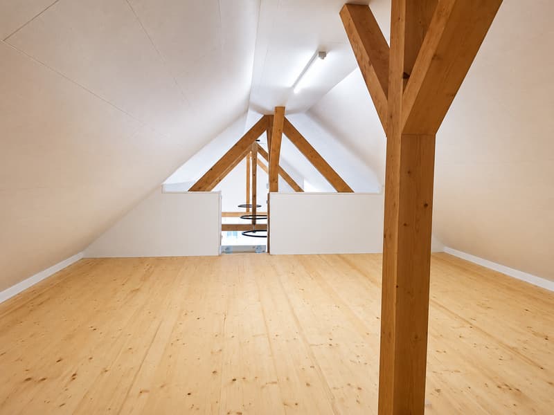 Ein Zuhause zum Verlieben: Traumhaft renovierte 4.5-Zimmerwohnung (8)