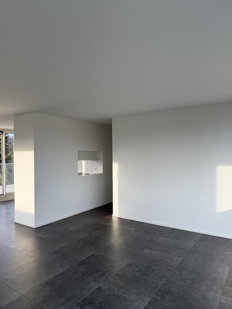 Appartamento di 3,5 locali in affitto a Hinwil! (4)