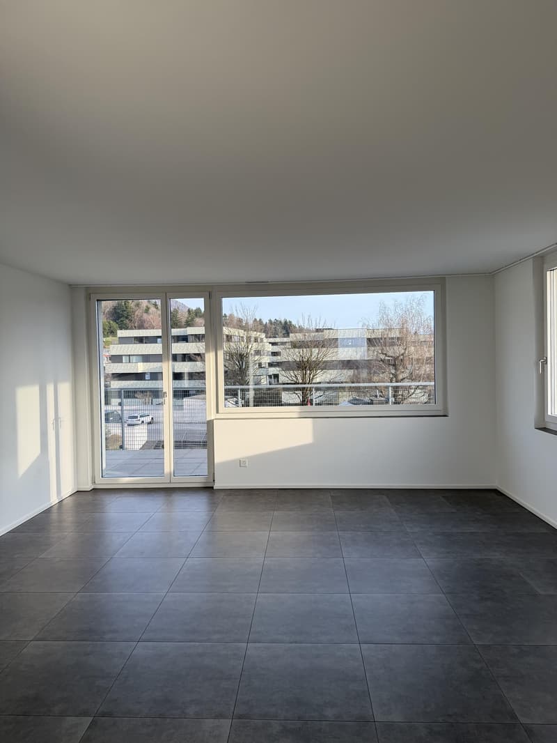 Appartamento di 3,5 locali in affitto a Hinwil! (3)