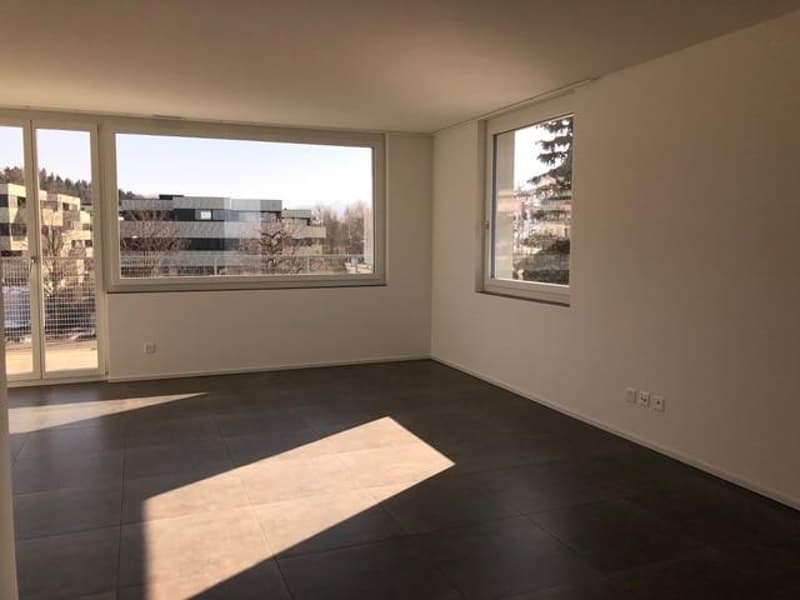 Appartamento di 3,5 locali in affitto a Hinwil! (2)