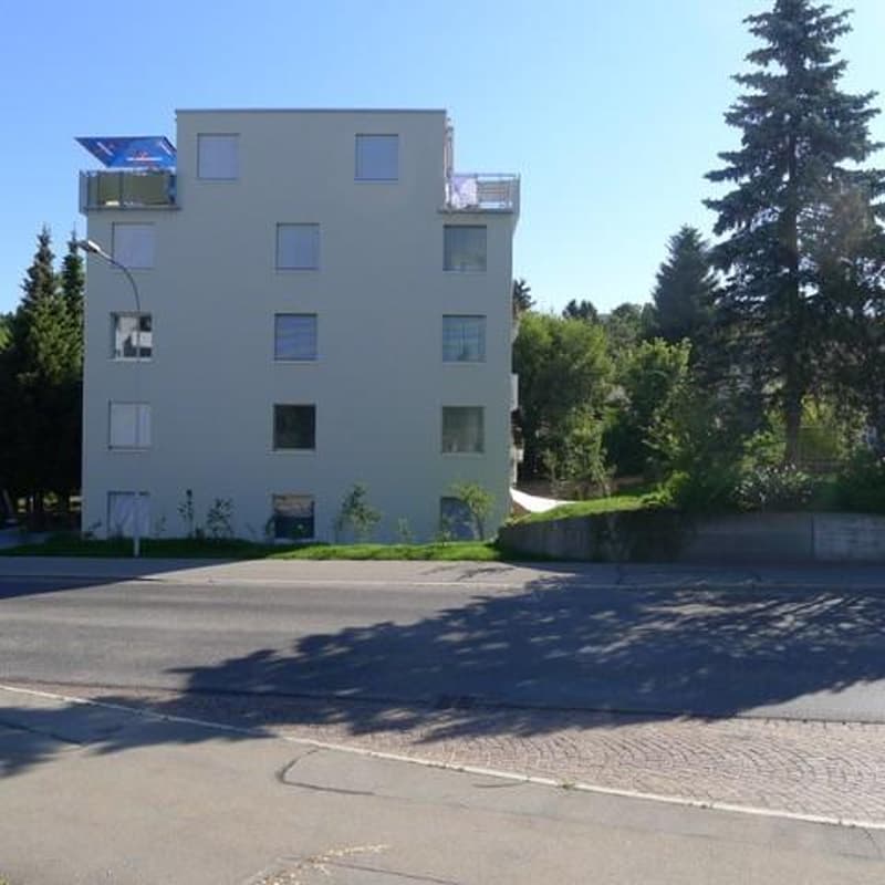 Appartamento di 3,5 locali in affitto a Hinwil! (12)