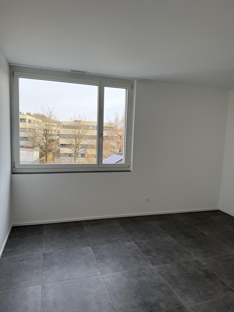 Appartamento di 3,5 locali in affitto a Hinwil! (7)