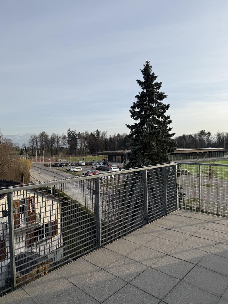 Appartamento di 3,5 locali in affitto a Hinwil! (9)