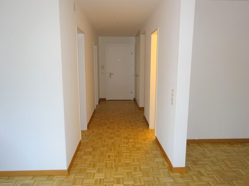 Charmante 4.5 Zimmerwohnung in Adliswil zu vermieten! (3)