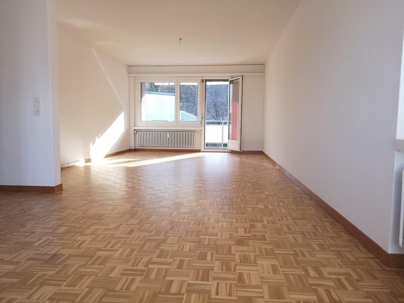 Charmante 4.5 Zimmerwohnung in Adliswil zu vermieten! (2)