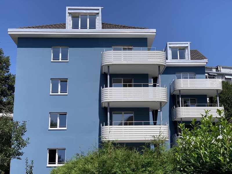 Appartamento-mansarda esclusivo di 5,5 locali in posizione centrale a Winterthur (10)