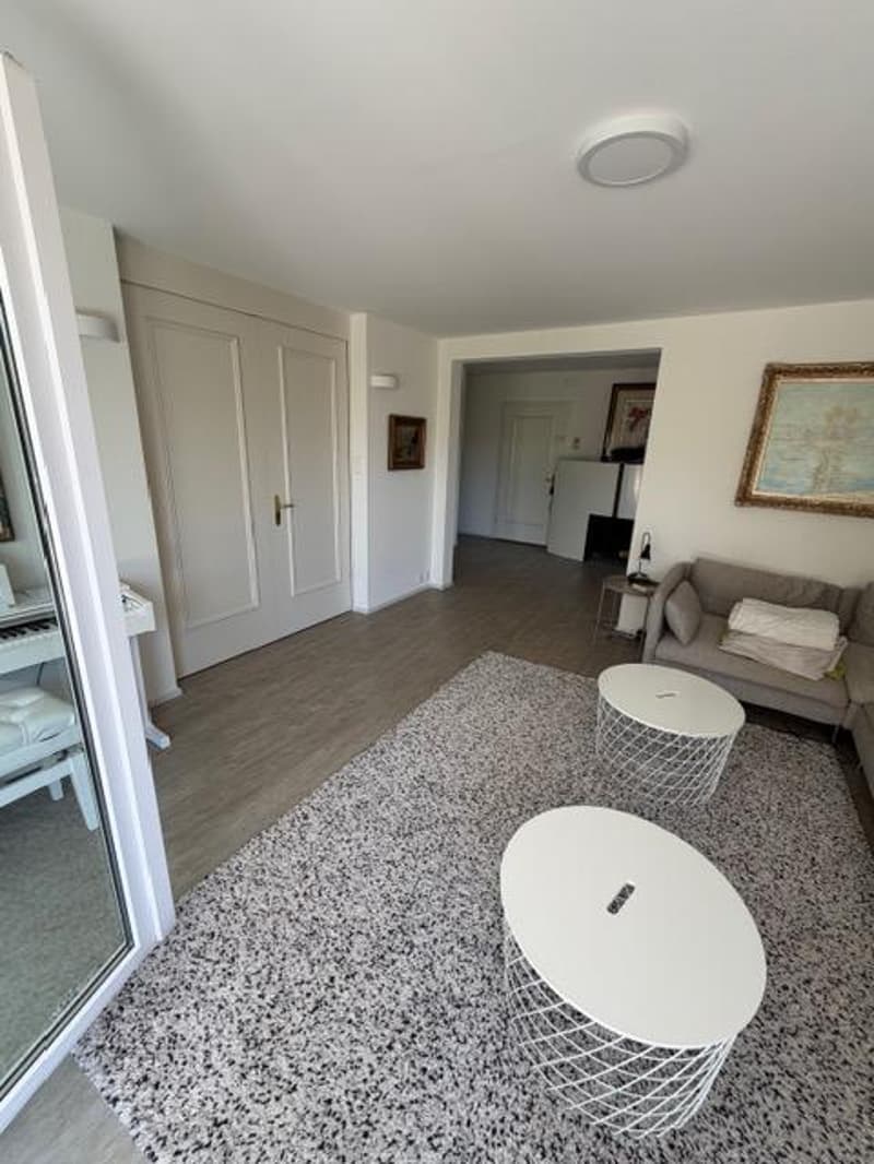 Appartement de 3,5 pièces rénové dans une communauté lacustre très demandée (3)
