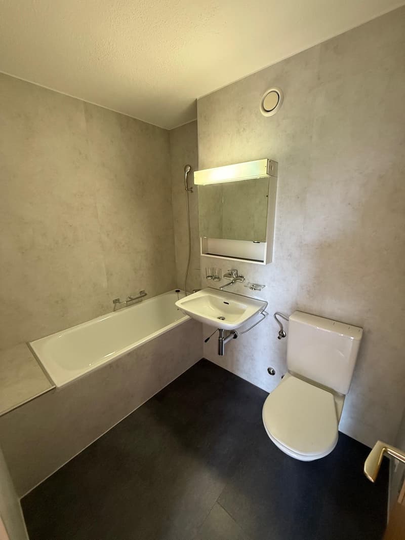 Appartement 2 pièces à Dietlikon (2)