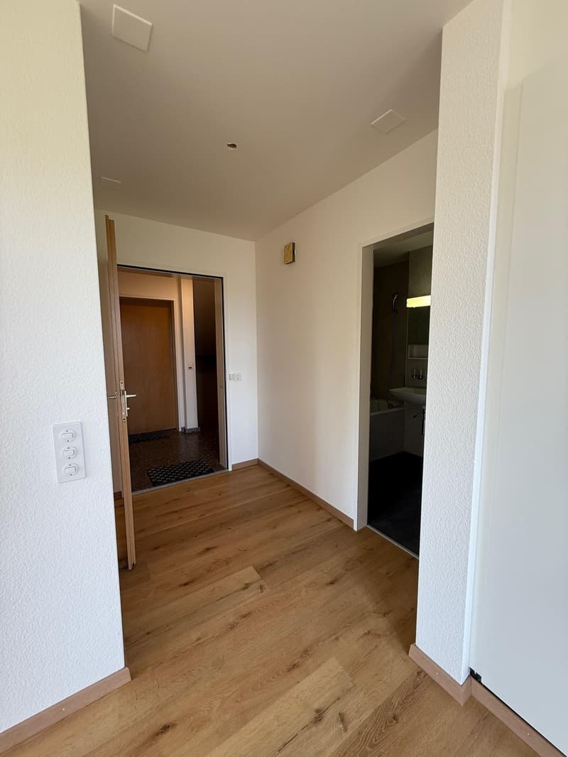 Appartement 2 pièces à Dietlikon (5)