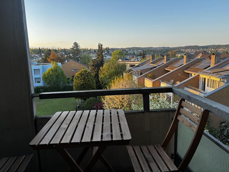 Appartement 2 pièces à Dietlikon (9)