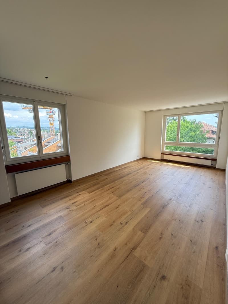 Appartement 2 pièces à Dietlikon (8)