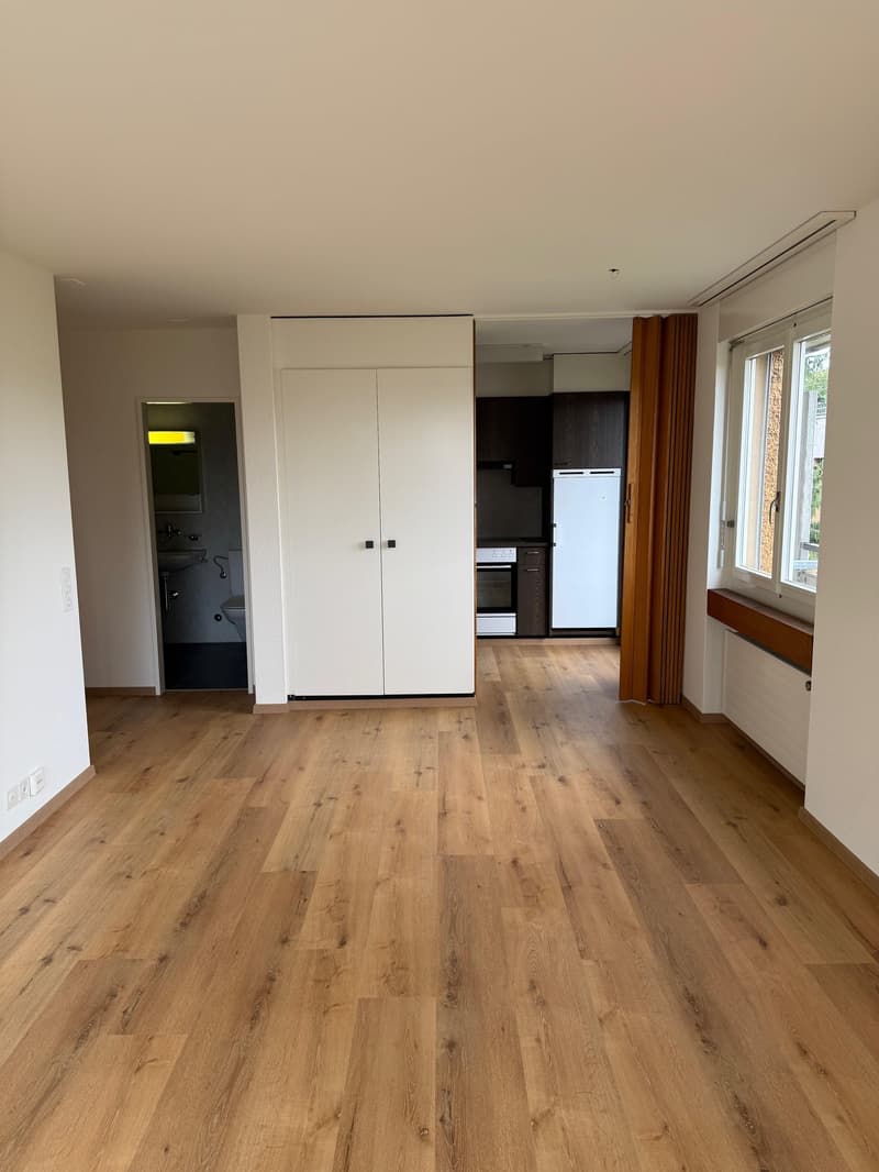 Appartement 2 pièces à Dietlikon (6)