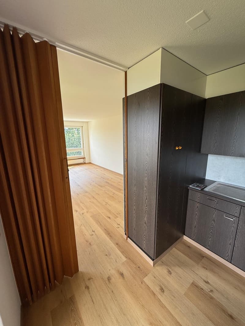 Appartement 2 pièces à Dietlikon (4)