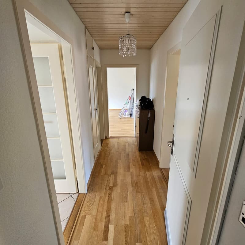 Appartement 2.5 pièces à louer à Zurich ! (2)