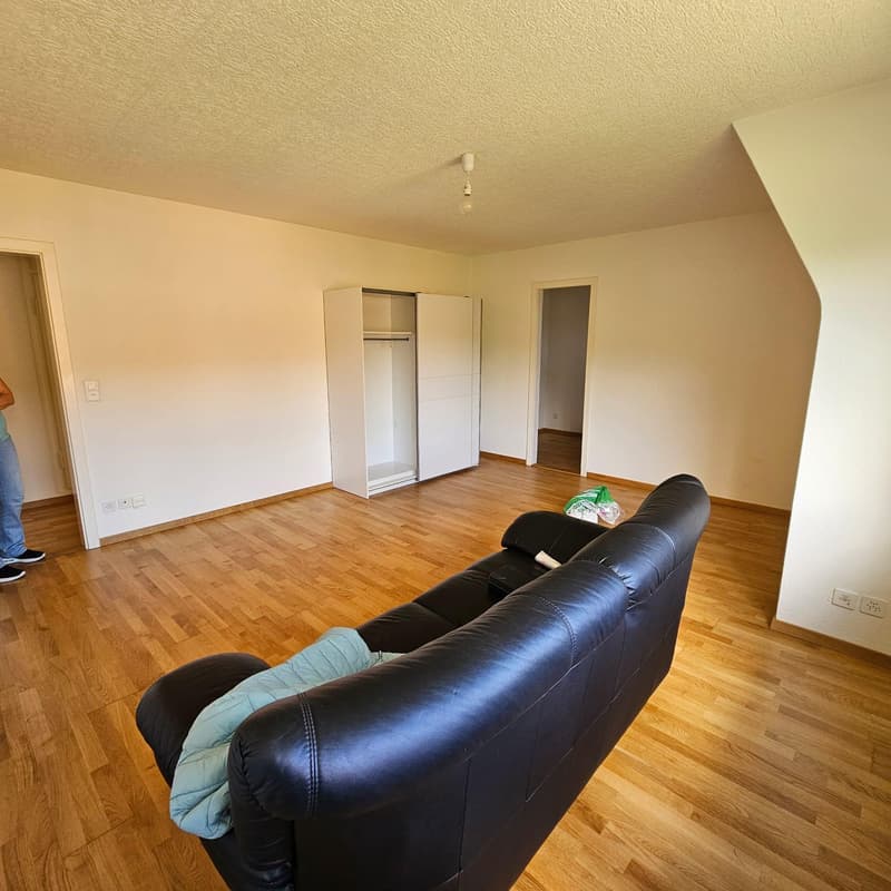 Appartement 2.5 pièces à louer à Zurich ! (7)