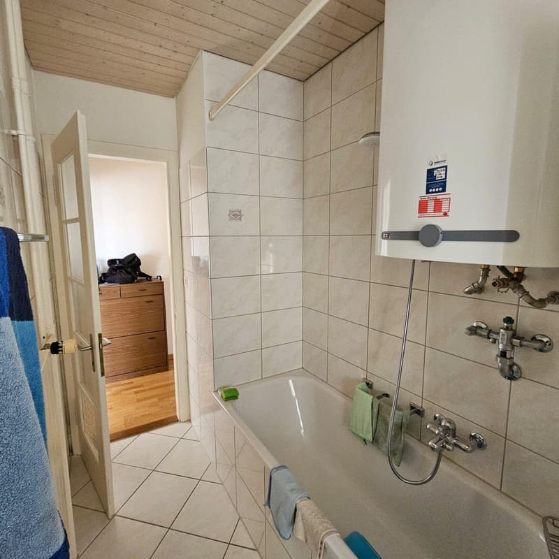 Appartement 2.5 pièces à louer à Zurich ! (10)
