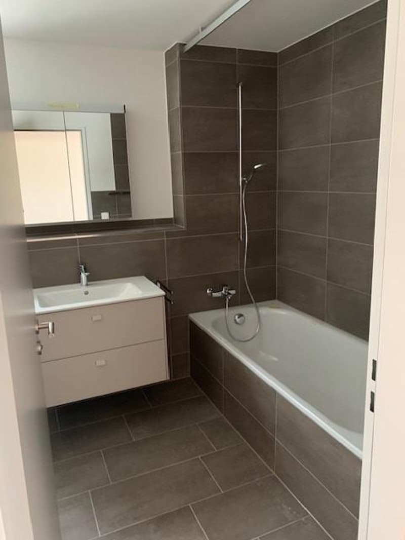 Charmant appartement 2.5 pièces à Rumlikon (3)