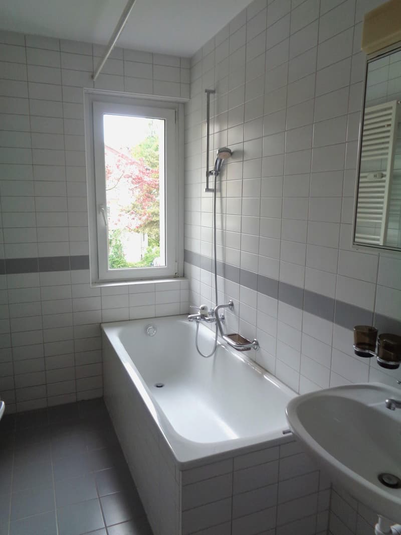 5.0 bedroom apartment in Winterthur (3)