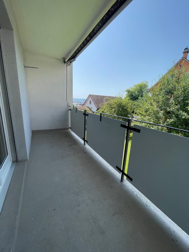 5.0 bedroom apartment in Winterthur (8)