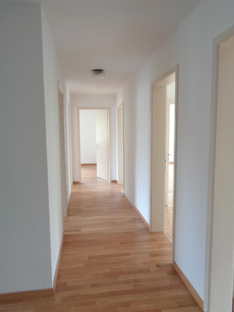 5.0 bedroom apartment in Winterthur (6)