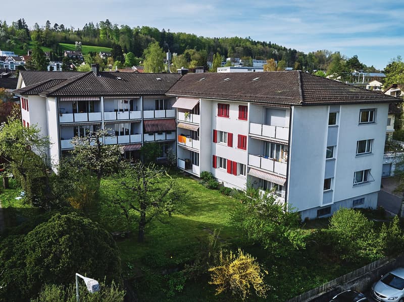5.0 bedroom apartment in Winterthur (1)
