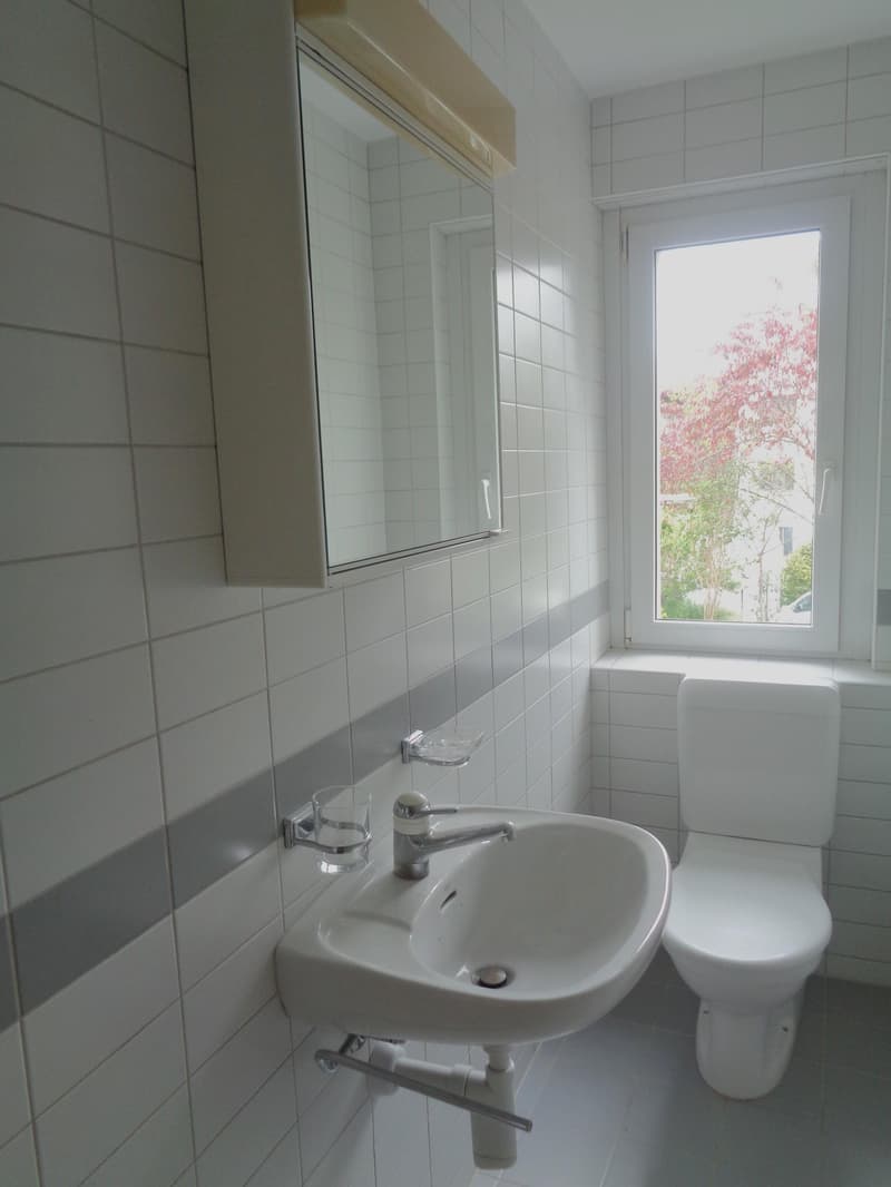 5.0 bedroom apartment in Winterthur (4)