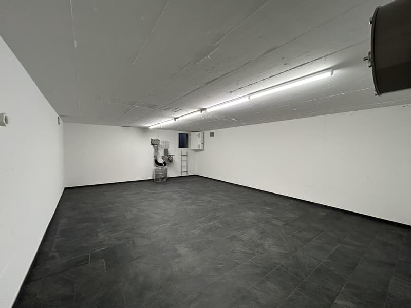 Storage room for rent in Zürich-Schwamendingen (2)