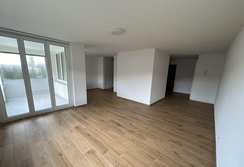 Appartement 3,5 pièces à Frauenfeld (3)