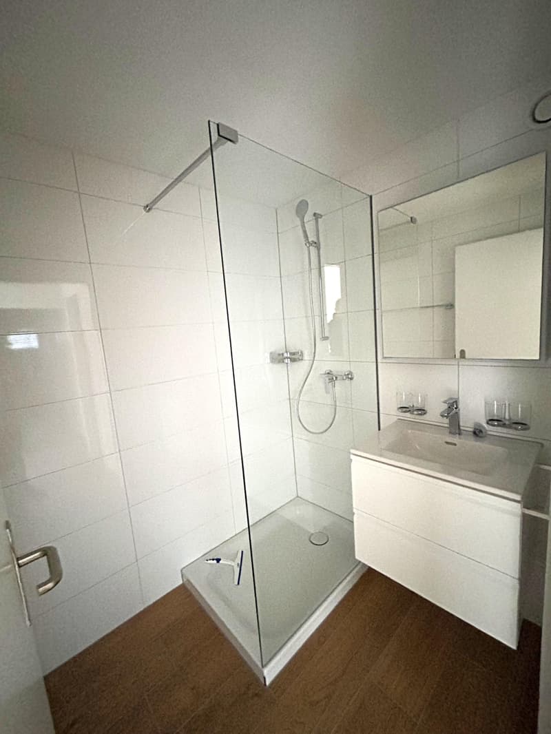 Appartement 3,5 pièces à Frauenfeld (7)