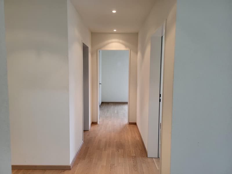 3.5 room apartment in Dietlikon (4)