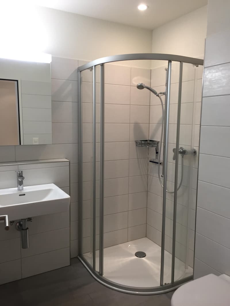 3.5 room apartment in Dietlikon (9)