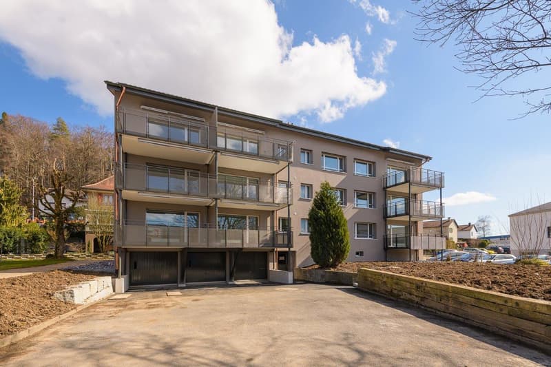 4.5 Zimmerwohnung in Effretikon (1)